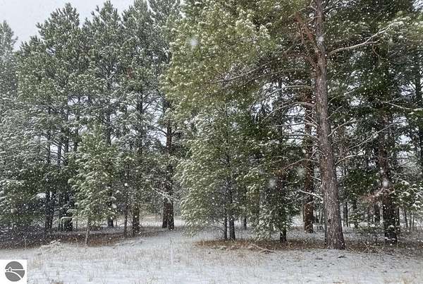 0.7 Acres of Land for Sale in Fife Lake, Michigan