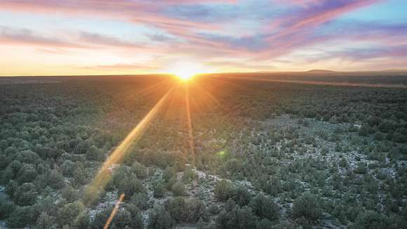 39.95 Acres of Recreational Land for Sale in Carson, New Mexico