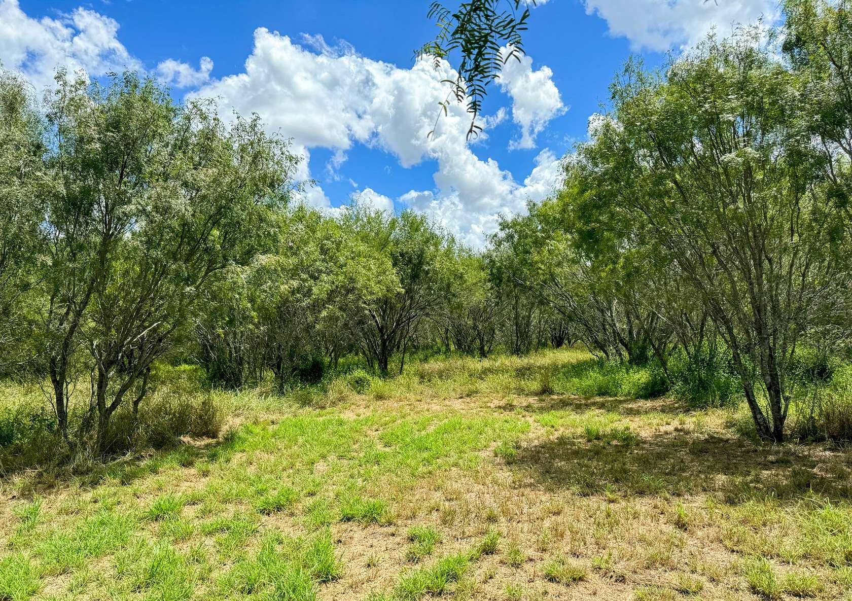 14 Acres of Land for Sale in Pawnee, Texas