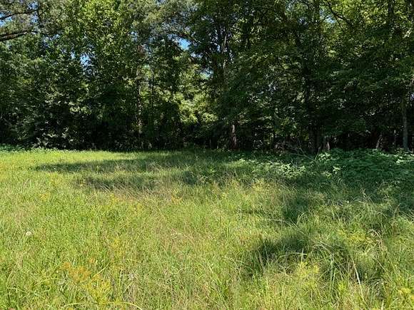 9.98 Acres of Agricultural Land for Sale in Daingerfield, Texas