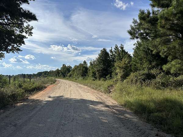 10 Acres of Recreational Land for Sale in Midville, Georgia