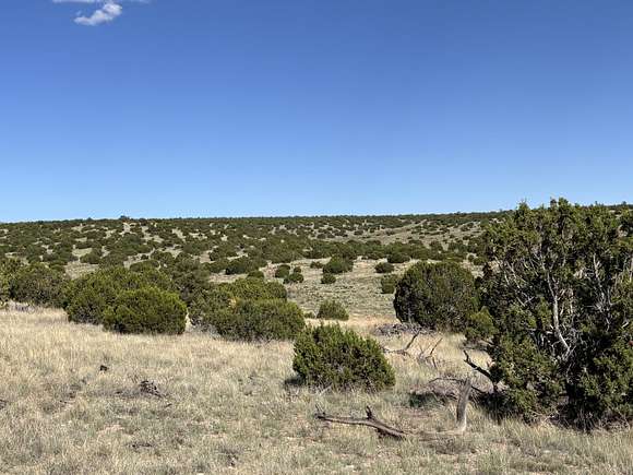 20.05 Acres of Recreational Land for Sale in Magdalena, New Mexico