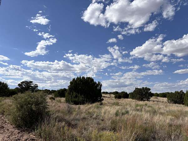 20 Acres of Recreational Land for Sale in Magdalena, New Mexico