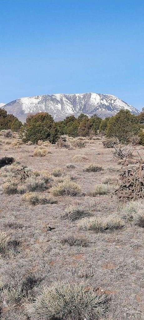 41.79 Acres of Recreational Land for Sale in Walsenburg, Colorado