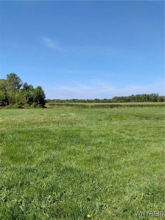 45 Acres of Agricultural Land for Sale in Wilson, New York