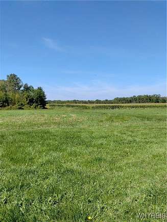 45 Acres of Agricultural Land for Sale in Wilson, New York