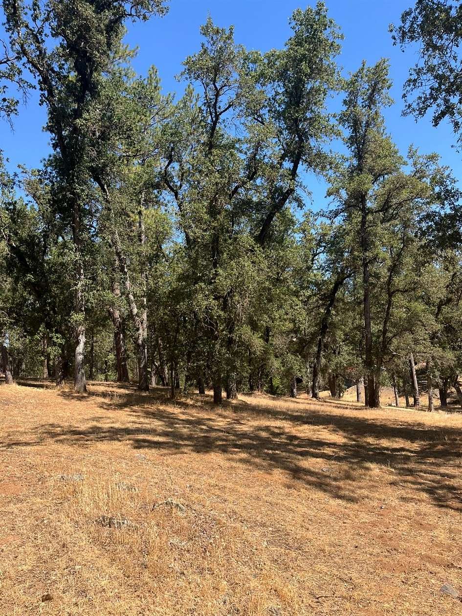 5.13 Acres of Residential Land for Sale in Mountain Ranch, California