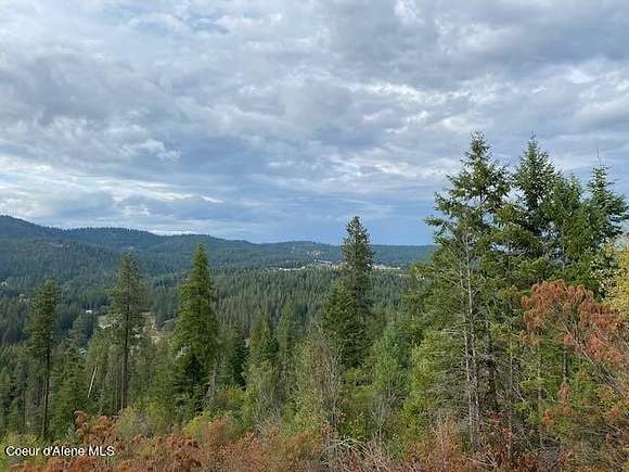 24.48 Acres of Recreational Land for Sale in Coeur d'Alene, Idaho