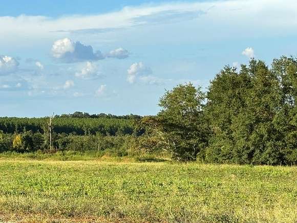 1,450 Acres of Agricultural Land for Sale in Abbeville, Alabama