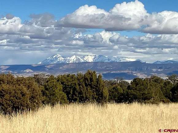 25 Acres of Land with Home for Sale in Olathe, Colorado