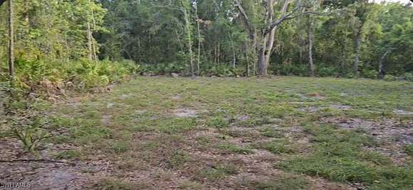 6.2 Acres of Residential Land for Sale in Wauchula, Florida