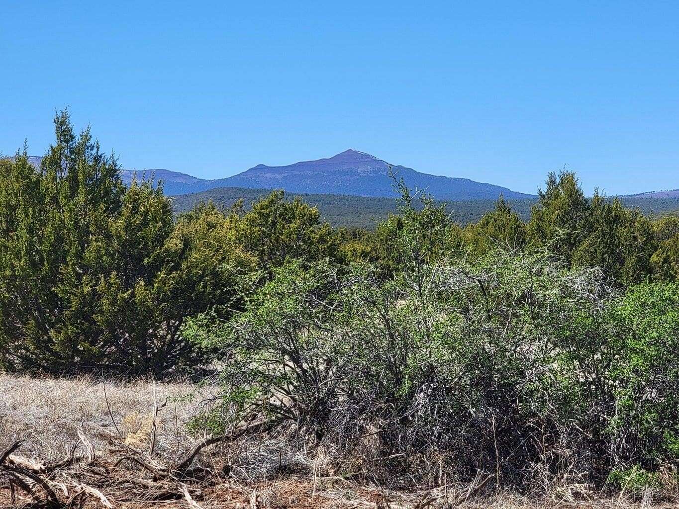 37 Acres of Land for Sale in Tajique, New Mexico