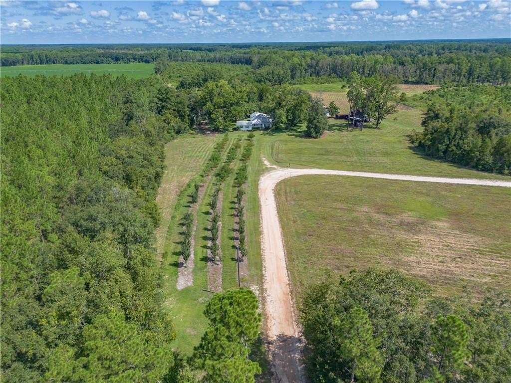 65 Acres of Land for Sale in Patterson, Georgia