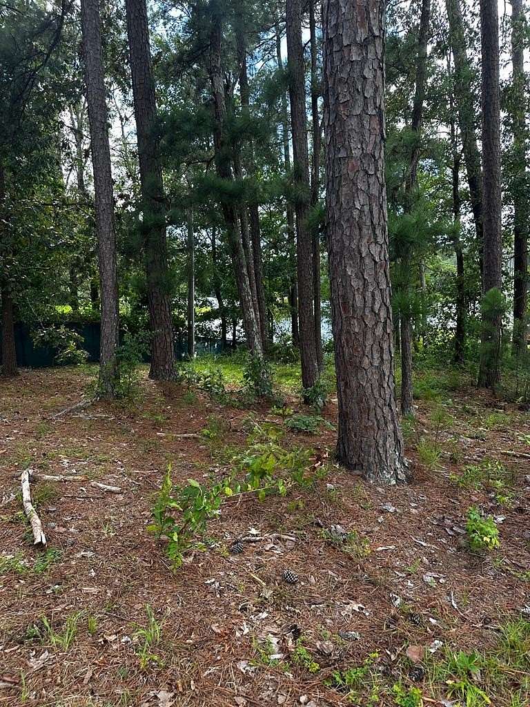 0.35 Acres of Residential Land for Sale in Ninety Six, South Carolina