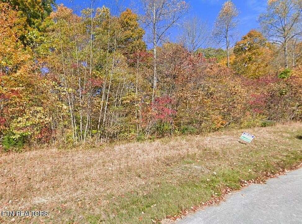 3.1 Acres of Residential Land for Sale in New Tazewell, Tennessee