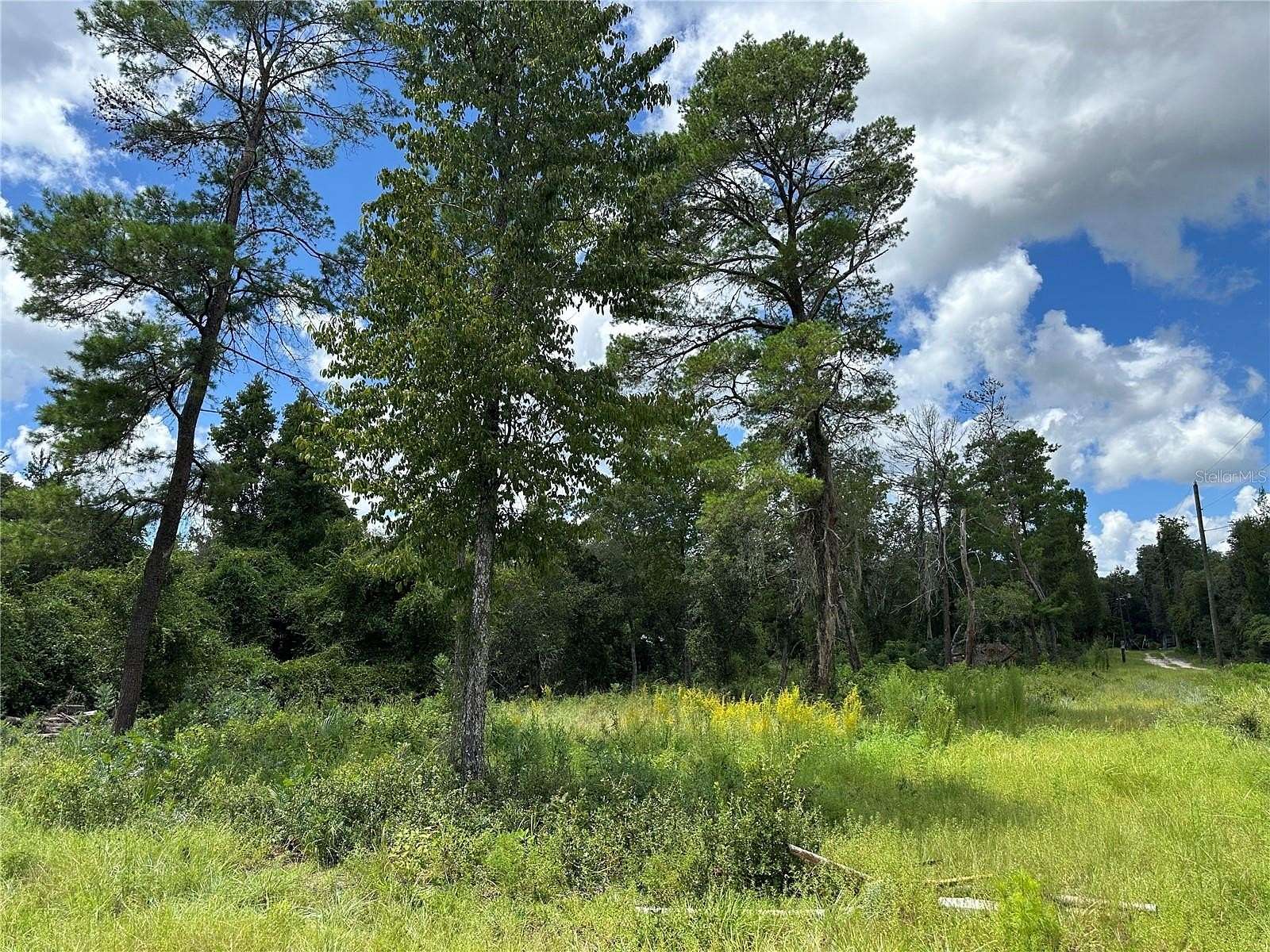 0.55 Acres of Residential Land for Sale in Fort McCoy, Florida