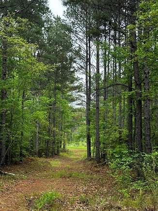 197.83 Acres of Recreational Land for Sale in Oxford, Mississippi