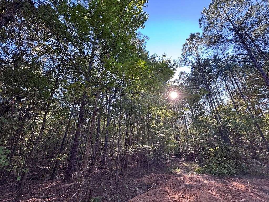 10 Acres of Recreational Land for Sale in Taylor, Mississippi