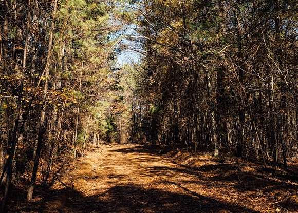 10 Acres of Recreational Land for Sale in Taylor, Mississippi