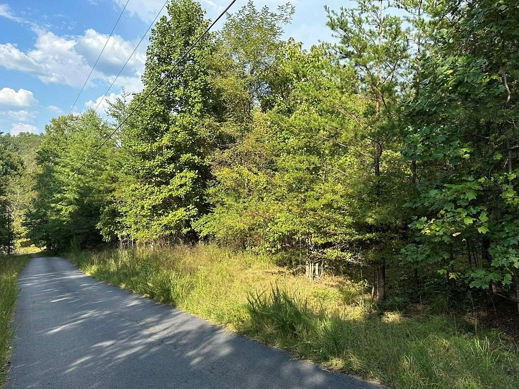 1.5 Acres of Residential Land for Sale in Blue Ridge, Georgia