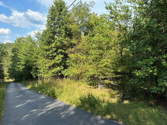 1.5 Acres of Residential Land for Sale in Blue Ridge, Georgia