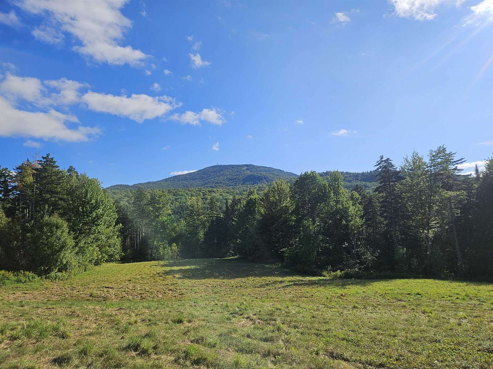 31.4 Acres of Land for Sale in Burke Town, Vermont