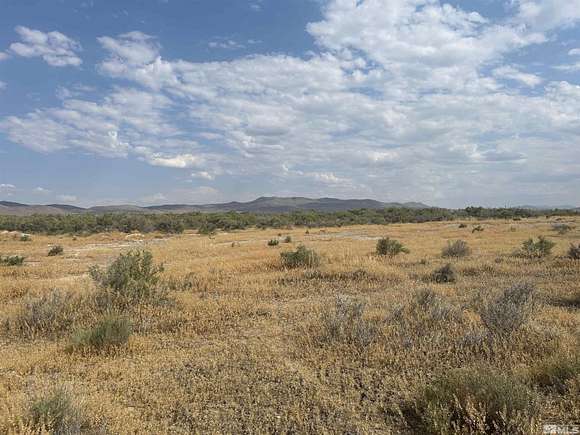 1.28 Acres of Land for Sale in Golconda, Nevada