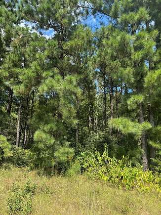 10.43 Acres of Recreational Land for Sale in Nacogdoches, Texas