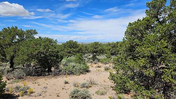 5.4 Acres of Residential Land for Sale in Fort Garland, Colorado