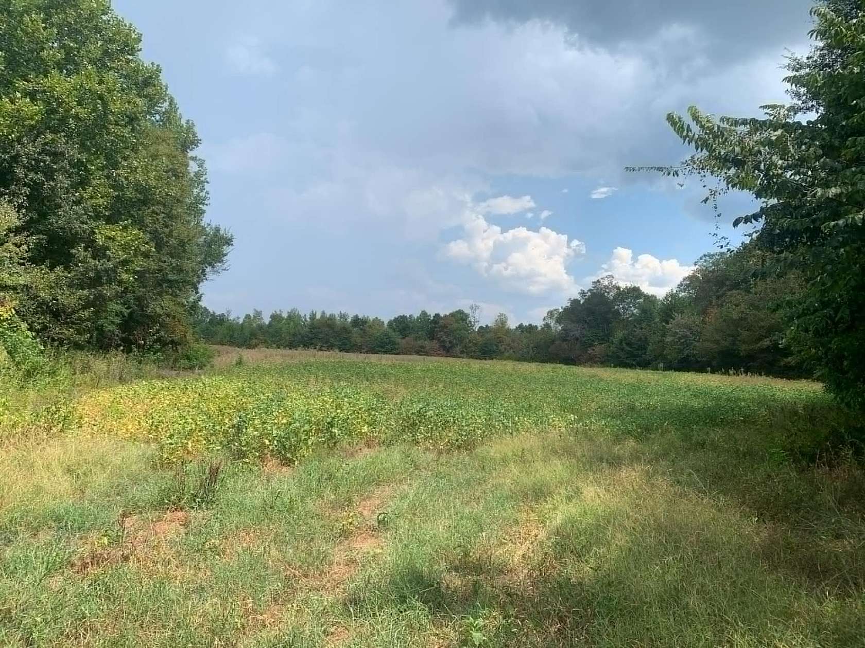 35 Acres of Land for Sale in Huron, Tennessee