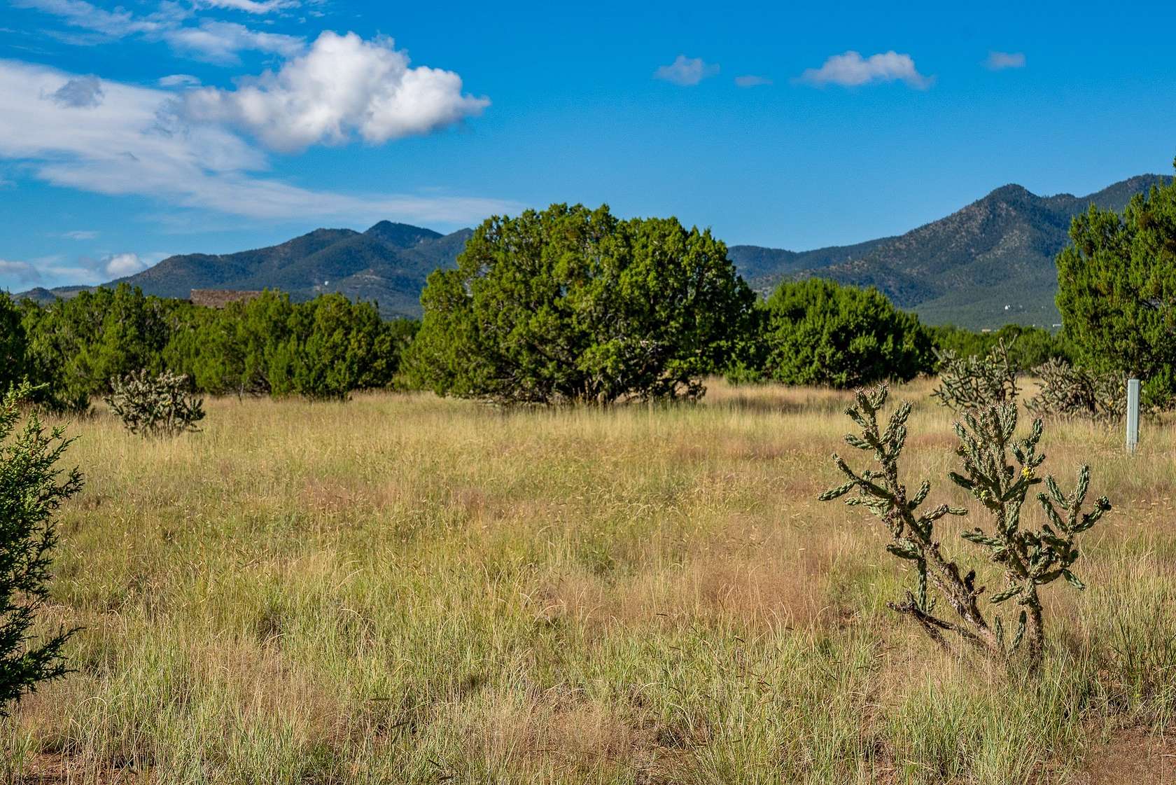 80 Acres of Land for Sale in Cerrillos, New Mexico