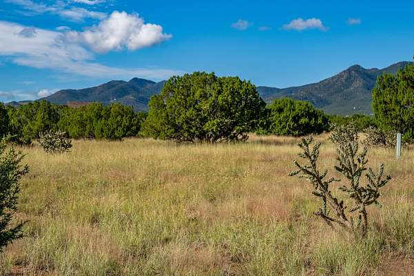 80 Acres of Land for Sale in Cerrillos, New Mexico