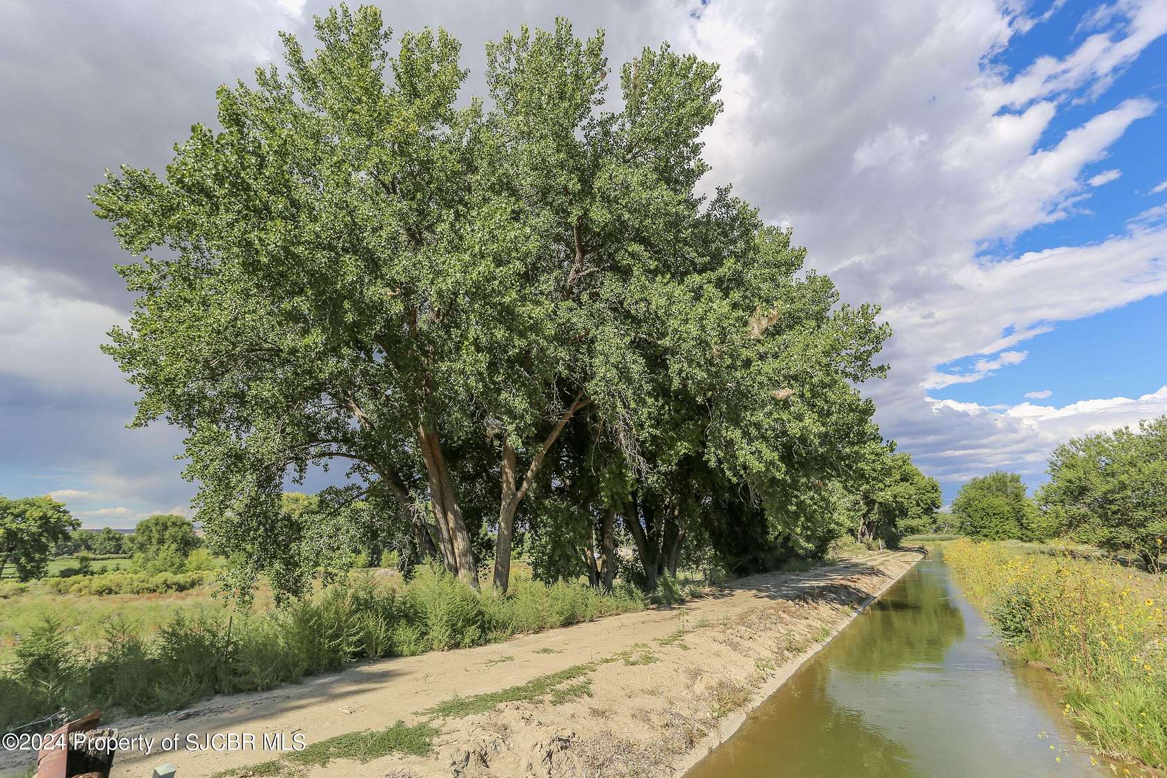 6 Acres of Land for Sale in Bloomfield, New Mexico