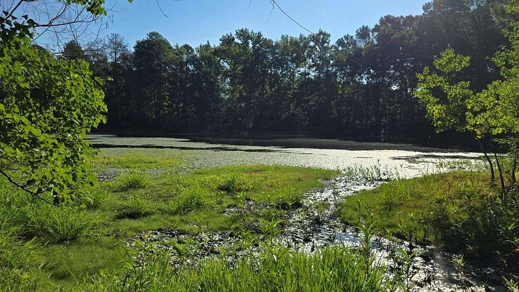 16 Acres of Land for Sale in Brookhaven, Mississippi