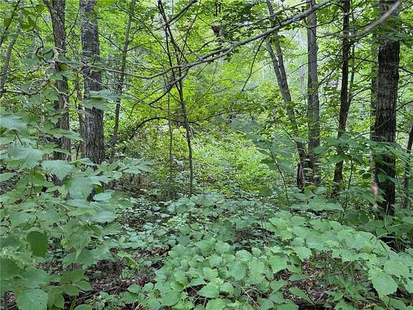 0.58 Acres of Land for Sale in Breezy Point, Minnesota