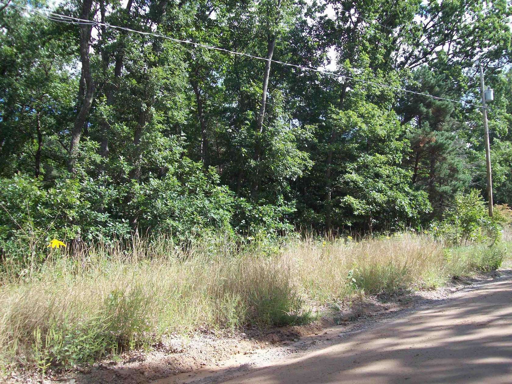 1 Acre of Residential Land for Sale in Harrison, Michigan