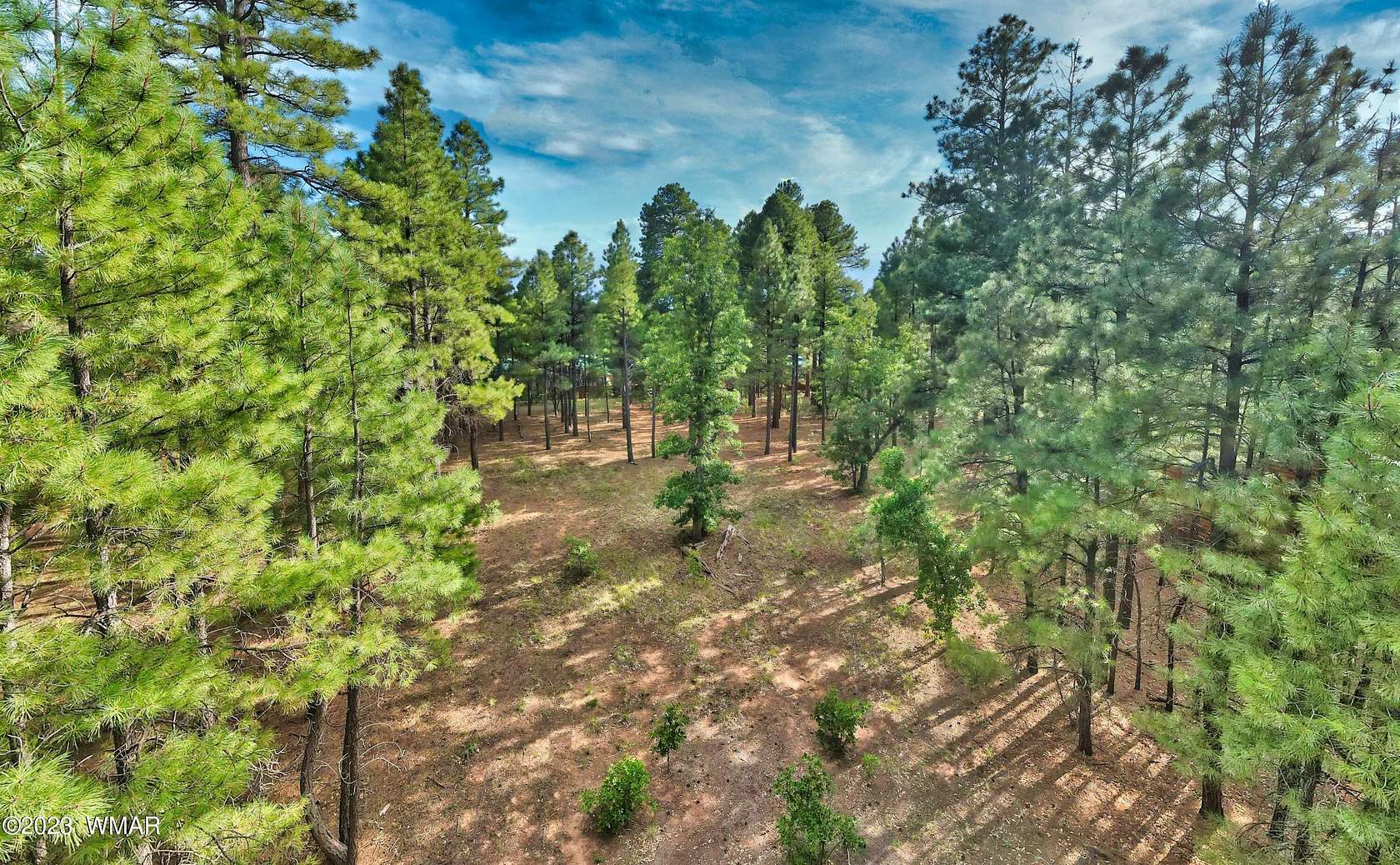 0.36 Acres of Residential Land for Sale in Show Low, Arizona