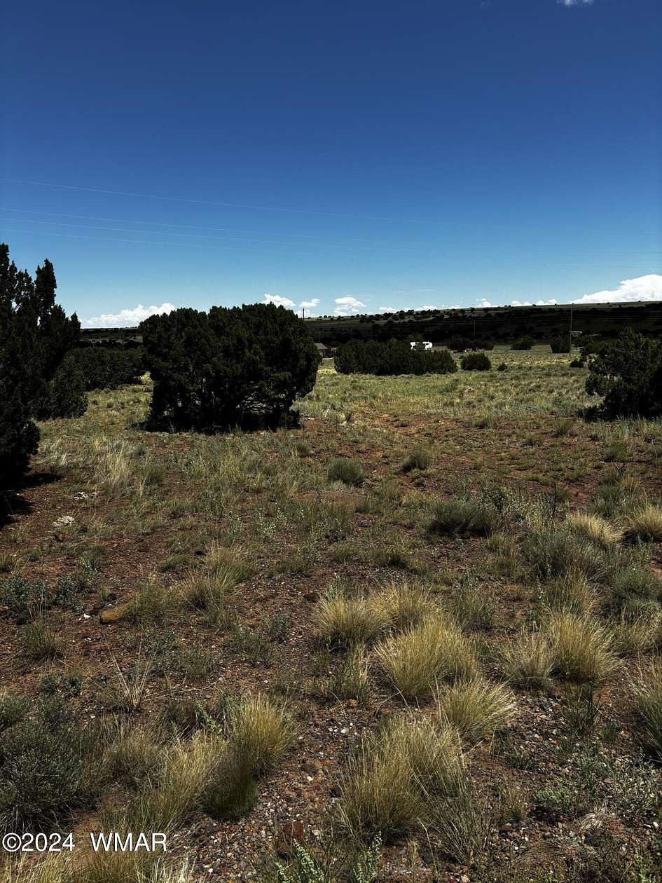 0.26 Acres of Residential Land for Sale in Concho, Arizona