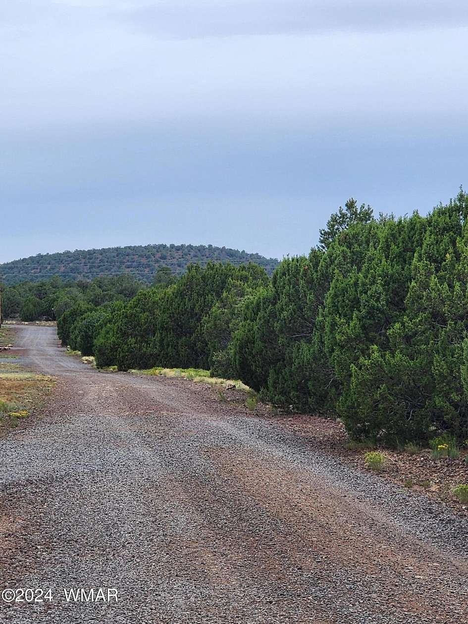 4.9 Acres of Residential Land for Sale in Vernon, Arizona