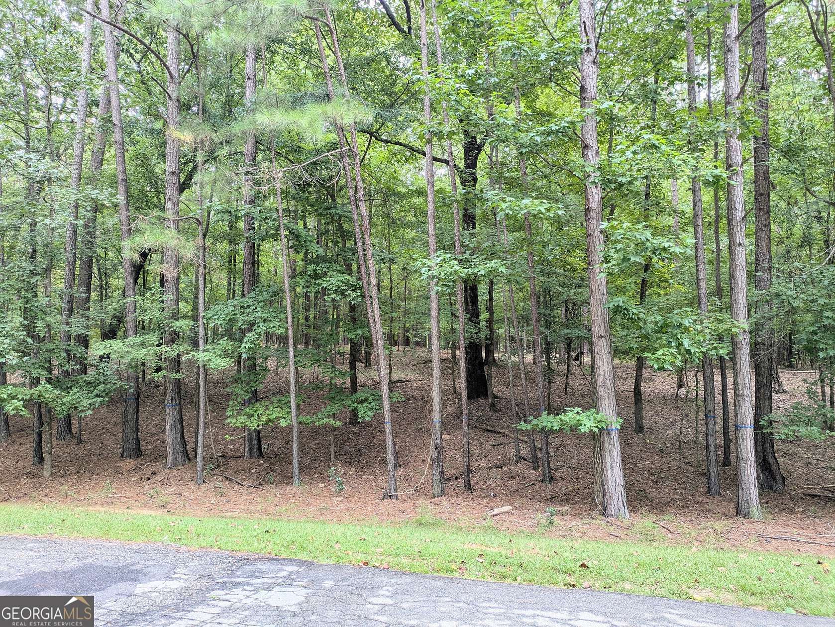 1.22 Acres of Residential Land for Sale in Greensboro, Georgia