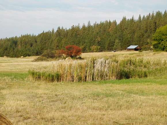 20 Acres of Recreational Land & Farm for Sale in Gifford, Washington