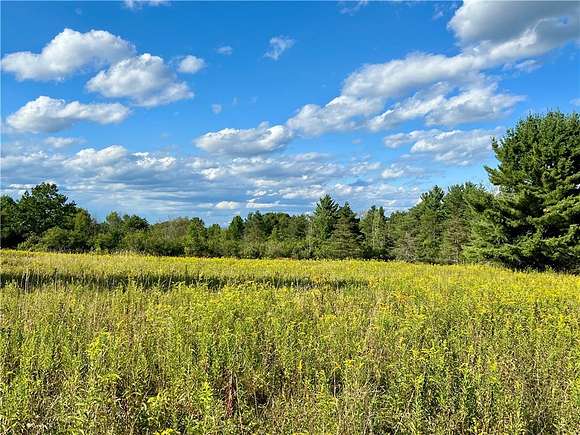 10 Acres of Improved Land for Sale in Danby, New York