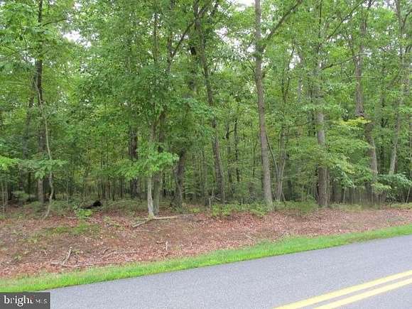 12.53 Acres of Land for Sale in Orange, Virginia