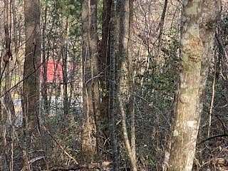 1.1 Acres of Commercial Land for Sale in Blairsville, Georgia