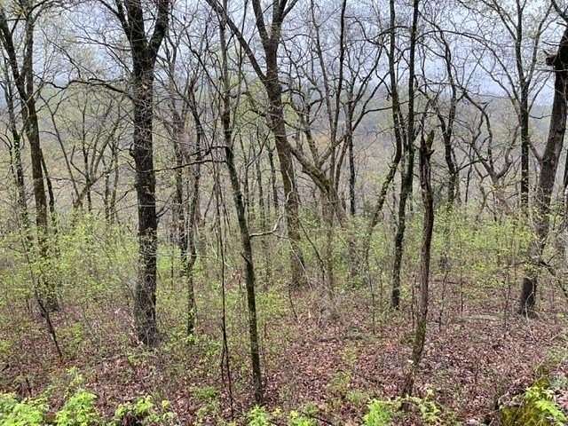 0.93 Acres of Land for Sale in Holiday Island, Arkansas