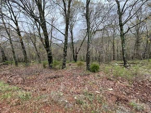 0.326 Acres of Land for Sale in Holiday Island, Arkansas