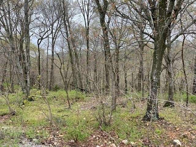 0.33 Acres of Land for Sale in Holiday Island, Arkansas