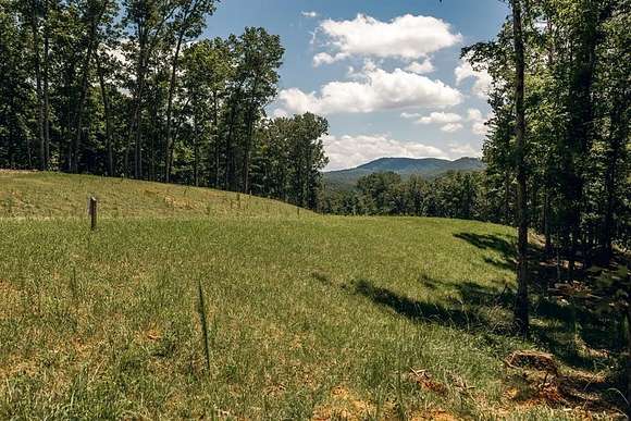 0.78 Acres of Residential Land for Sale in Morganton, Georgia