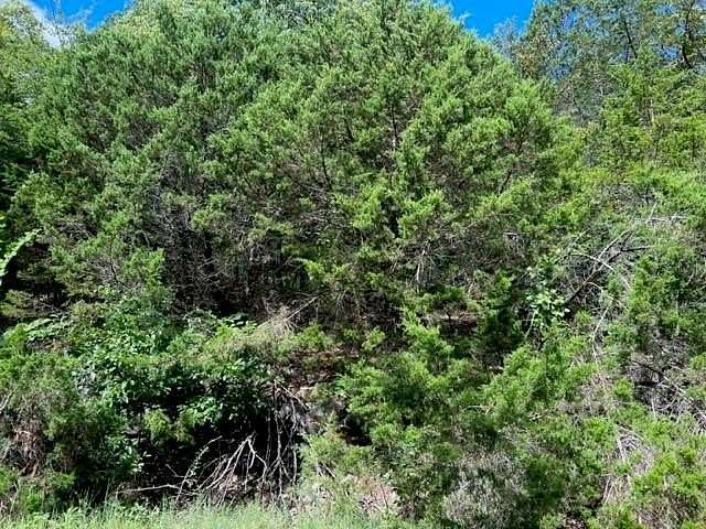 0.4 Acres of Land for Sale in Holiday Island, Arkansas