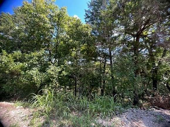 0.31 Acres of Land for Sale in Holiday Island, Arkansas